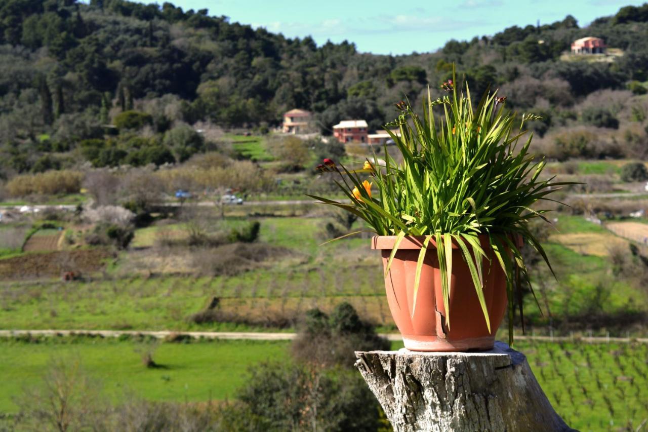 Green Hill Cottage Sinarádes Buitenkant foto